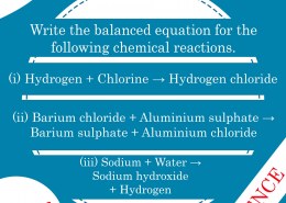 Write the balanced equation for the following chemical reactions.