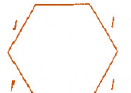 The side of a regular hexagon is denoted by l. Express the perimeter of the hexagon using l. (Hint: A regular hexagon has all its six sides in length)