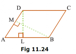 DL and BM are the heights on sides AB and AD respectively of parallelogram ABCD (Fig 11.24). If the area of the parallelogram is 1470 cm², AB = 35 cm and AD = 49 cm, find the length of BM and DL.