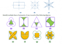 The following figures have more than one line of symmetry. Such figures are said to have multiple lines of symmetry: