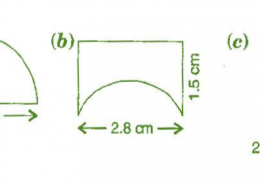 An ant is moving around a few food pieces of different shapes scattered on the floor. For which food-piece would the ant have to take a longer round? Remember, circumference of a circle can be obtained by using the expression c=2πr where r is the radius of the circle.