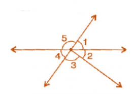 Indicate which pairs of angles are: (i) Vertically opposite angles? (ii) Linear pairs?