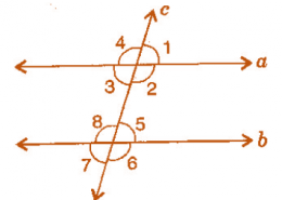 In the adjoining figure, identify:(i) the pairs of corresponding angles. (ii) the pairs of alternate interior angles. (iii) the pairs of interior angles on the same side of the transversal. (iv) the vertically opposite angles.