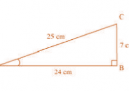 In ∆ ABC, right-angled at B, AB = 24 cm, BC = 7 cm. Determine: