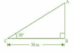 The angle of elevation of the top of a tower from a point on the ground, which is 30 m away from the foot of the tower, is 30°. Find the height of the tower.