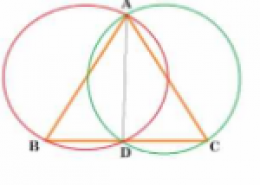 . If circles are drawn taking two sides of a triangle as diameters, prove that the point of intersection of these circles lie on the third side.