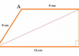 A park, in the shape of a quadrilateral ABCD, has angle C = 90º, AB = 9 m, BC = 12 m, CD = 5 m and AD = 8 m. How much area does it occupy?