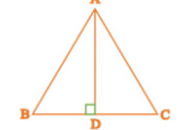 In Δ ABC, AD is the perpendicular bisector of BC (see Figure). Show that Δ ABC is an isosceles triangle in which AB = AC.