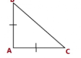 ABC is a right angled triangle in which ∠A = 90° and AB = AC. Find  ∠ B and  ∠ C.