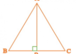 ABC is an isosceles triangle with AB = AC. Draw AP⊥BC to show that Angle B = Angle C.