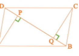 ABCD is a parallelogram and AP and CQ are perpendiculars from vertices A and C on diagonal BD see Figure. Show that (i) ∆ APB ≅ ∆ CQD (ii) AP = CQ