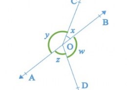 In Fig. 6.16, if x + y = w + z, then prove that AOB is a line.