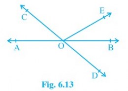 In Fig. 6.13, lines AB and CD intersect at O.