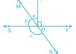 In Fig. 6.14, lines XY and MN intersect at O. If ∠ POY = 90° and a : b = 2 : 3, find c.