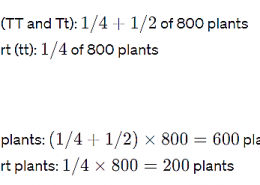 Sahil performed an experiment to study the inheritance pattern of genes. He crossed tall pea plants (TT) with short pea plants (tt) and obtained all tall plants in F1 generation. a. What will be set of genes present in the F1 generation? B. Give reason why only tall plants are observed in F1 progeny c. When F1 plants were self – pollinated, a total of 800 plants were produced. How many of these would be tall, medium height or short plants? Give the genotype of F 2 generation.