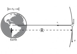 How did Newton discover the universal law of gravitation?