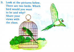 Look at the pictures below. There are two birds. Which bird would you want to be and why? Share your views with the class.