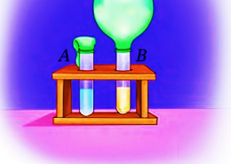 Aanandi took two test tubes and marked them A and B. She put two spoonfuls of sugar solution in each of the test tubes. In test tube B, she added a spoonful of yeast. Then she attached two incompletely inflated balloons to the mouth of each test tube. She kept the set-up in a warm place, away from sunlight. (i) What do you predict will happen after 3–4 days? She observed that the balloon attached to test tube B was inflated. What can be a possible explanation for this? (a) Water evaporated in test tube B and filled the balloon with the water vapour. (b) The warm atmosphere expanded the air inside the test tube B, which inflated the balloon. (c) Yeast produced a gas inside the test tube B which inflated the balloon. (d) Sugar reacted with warm air, which produced gas, eventually inflating the balloon. (ii) She took another test tube, 1/4 filled with lime water. She removed the balloon from test tube B in such a manner that the gas inside the balloon did not escape. She attached the balloon to the test tube with lime water and shook it well. What do you think she wants to find out?