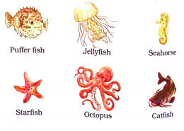 Choose any two of the below and find out a few facts about them.