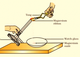 Which of the following is the correct observation of the reaction shown in the above set up?