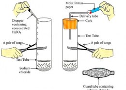 Take about 1-gram solid NaCl in a clean and dry test tube and set up the apparatus as shown in figure. Now, say that – (If climate is humid the gas evolved is passed through a guard tube containing):