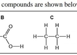The formulae of four organic compounds are shown below. Choose the correct option: