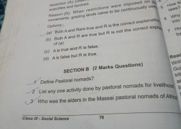 List any one activity done by pastoral nomads for livelihood.