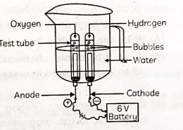 Study the figure given below and answer the following questions: (A) Name the process depicted in the diagram. (B) Write the composition of gases collected at anode and the cathode. (C) Write the balanced chemical equation of the reaction taking place in this case. (D) The reaction does not take place if a few drops of dilute sulphuric acid are not added to water. Why?