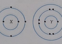 The electronic configuration of elements X (2, 4) and Y (2, 8, 1) is given. Based on the information given above, answer the following questions: (a) Which type of bond is formed between X and Y? Explain with reason. (b) How many valence electrons take part in the bond formation between X and Y? Explain. (c) Give the chemical formula of the compound. (d) State one physical property of this compound based on the type of bonding. (e) Write the chemical equation for the reaction of Y with ethanoic acid.